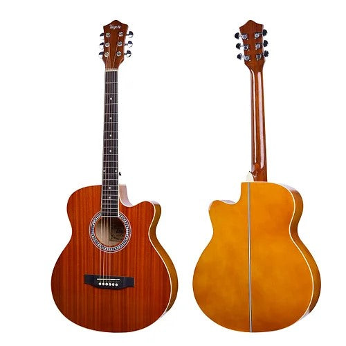 TAYSTE T405 40" ACOUSTIC GUITAR W/EQ