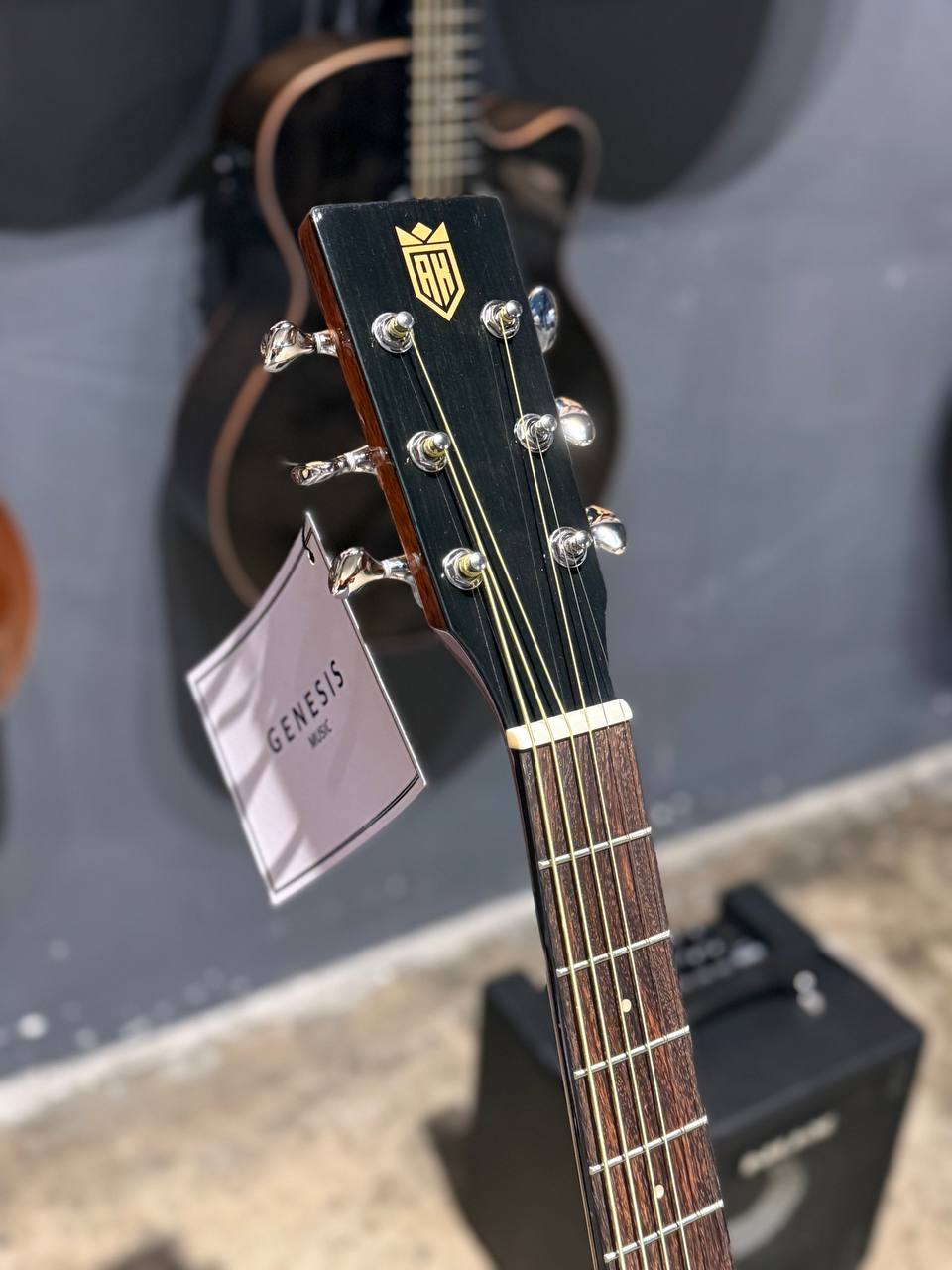 A&K ACOUSTIC GUITAR AK-560 CEQ (Solid Top)