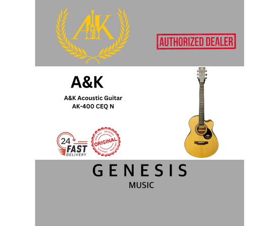 A&K ACOUSTIC GUITAR AK-400 CEQ N