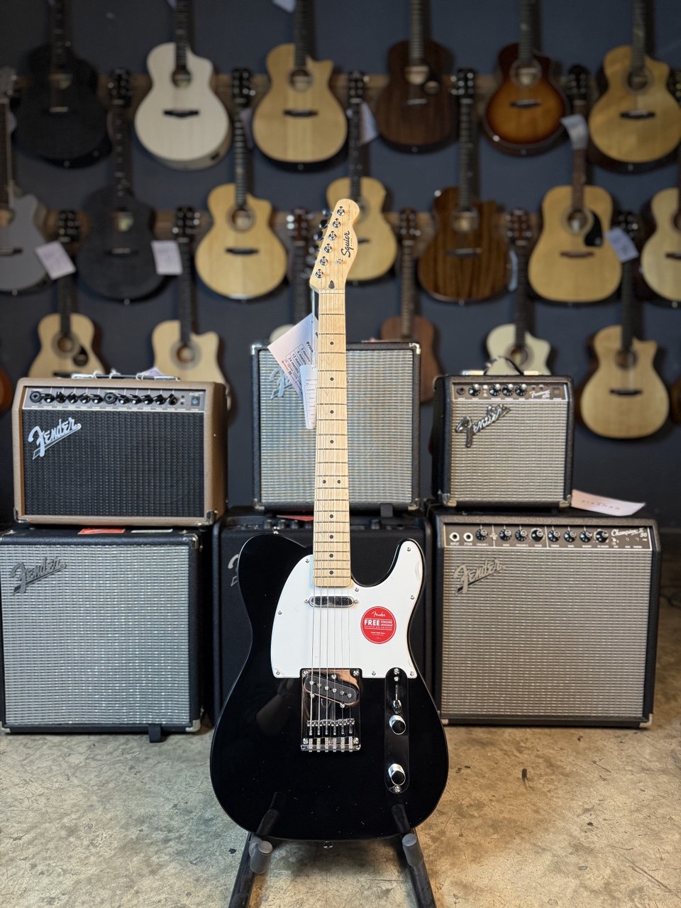Squier Sonic Telecaster Electric Guitar w/White Pickguard, Maple FB, Black